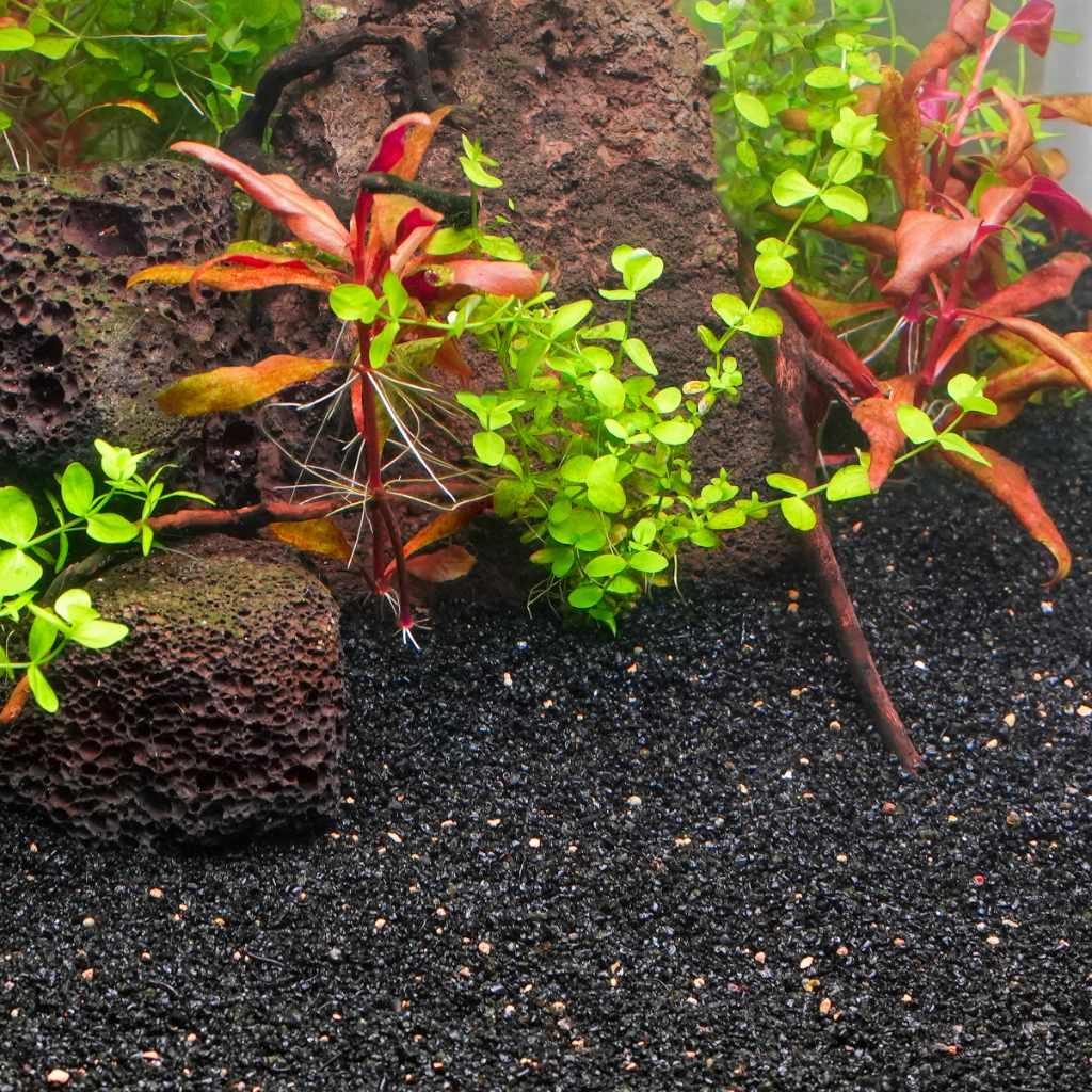 Activ Betta Bio-Activ Gravel (1 lb. bag) - Image 2