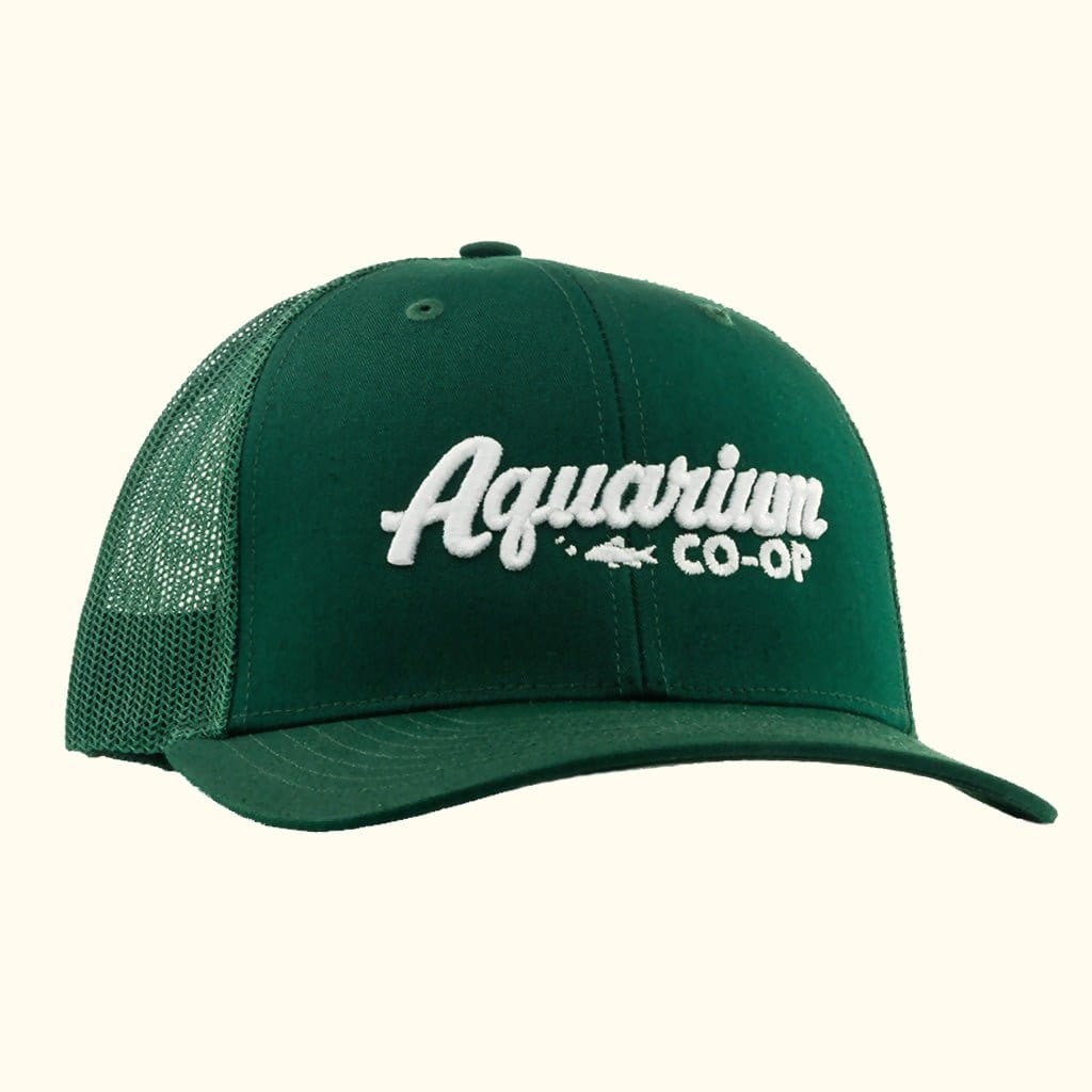 Aquarium Co-Op Baseball Logo Snapback Hat - Image 3