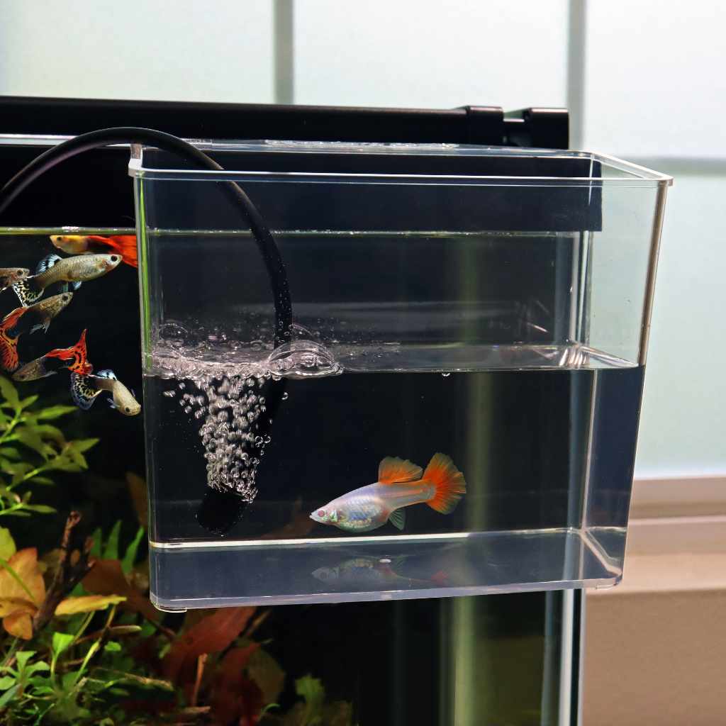 Aquarium Co-Op Unbreakable Catch Cup - Image 5