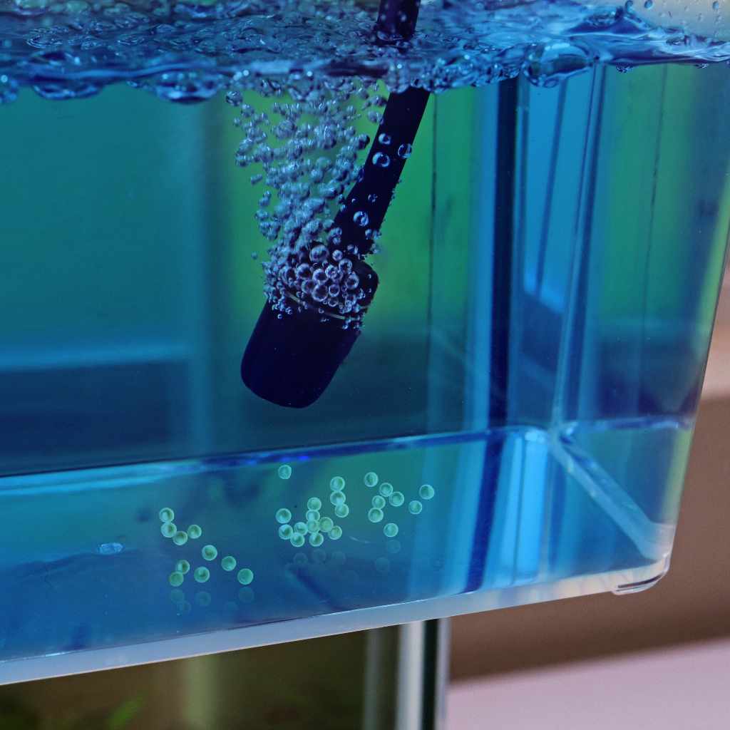 Aquarium Co-Op Unbreakable Catch Cup - Image 9