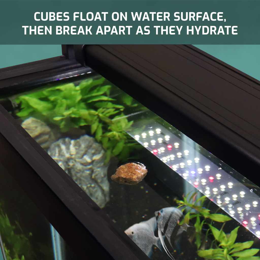Aquarium Co-Op Freeze Dried Brine Shrimp Cubes - Image 3