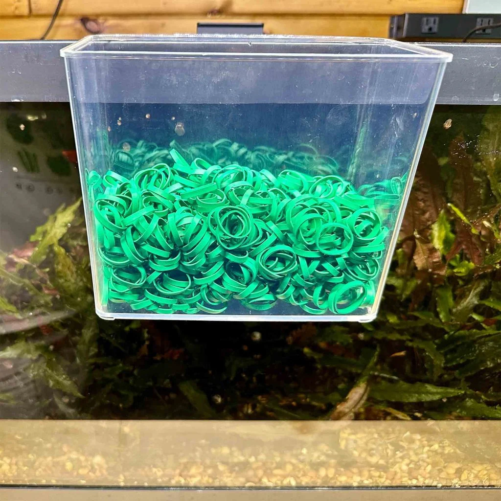 Aquarium Co-Op Rubber Bands (1lb bag) - Image 5