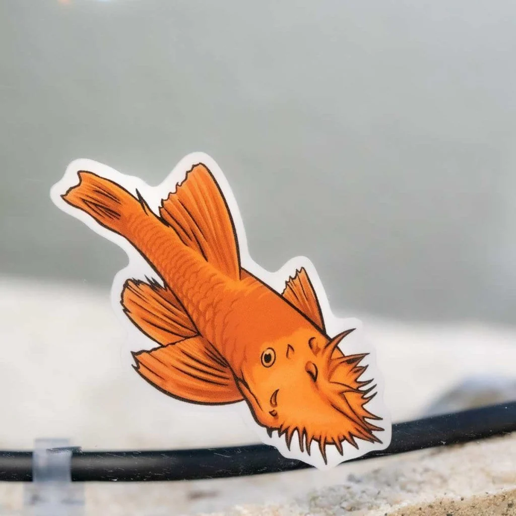 Bristlenose Pleco Decal Sticker - Image 4