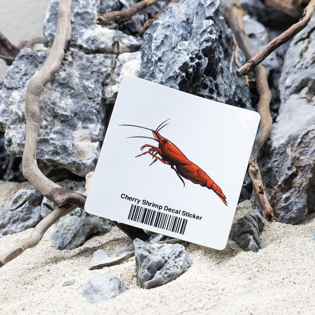Cherry Shrimp Decal Sticker - Image 2
