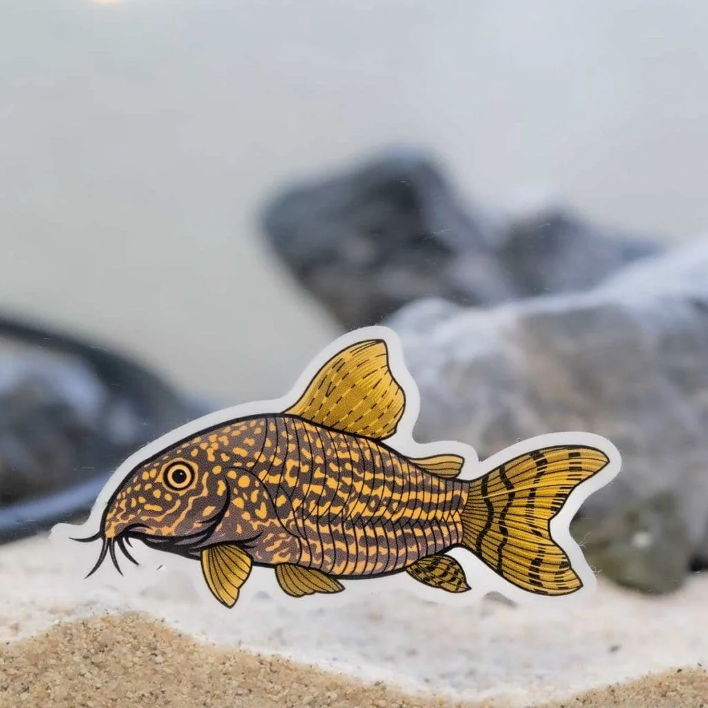 Corydoras Decal Sticker - Image 3