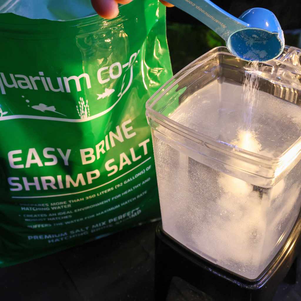 Easy Brine Shrimp Salt - Image 7