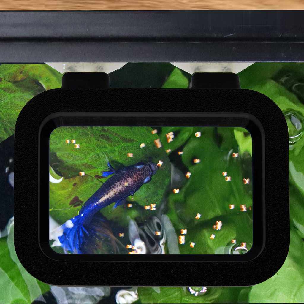 Easy Feeding Basket - Image 3