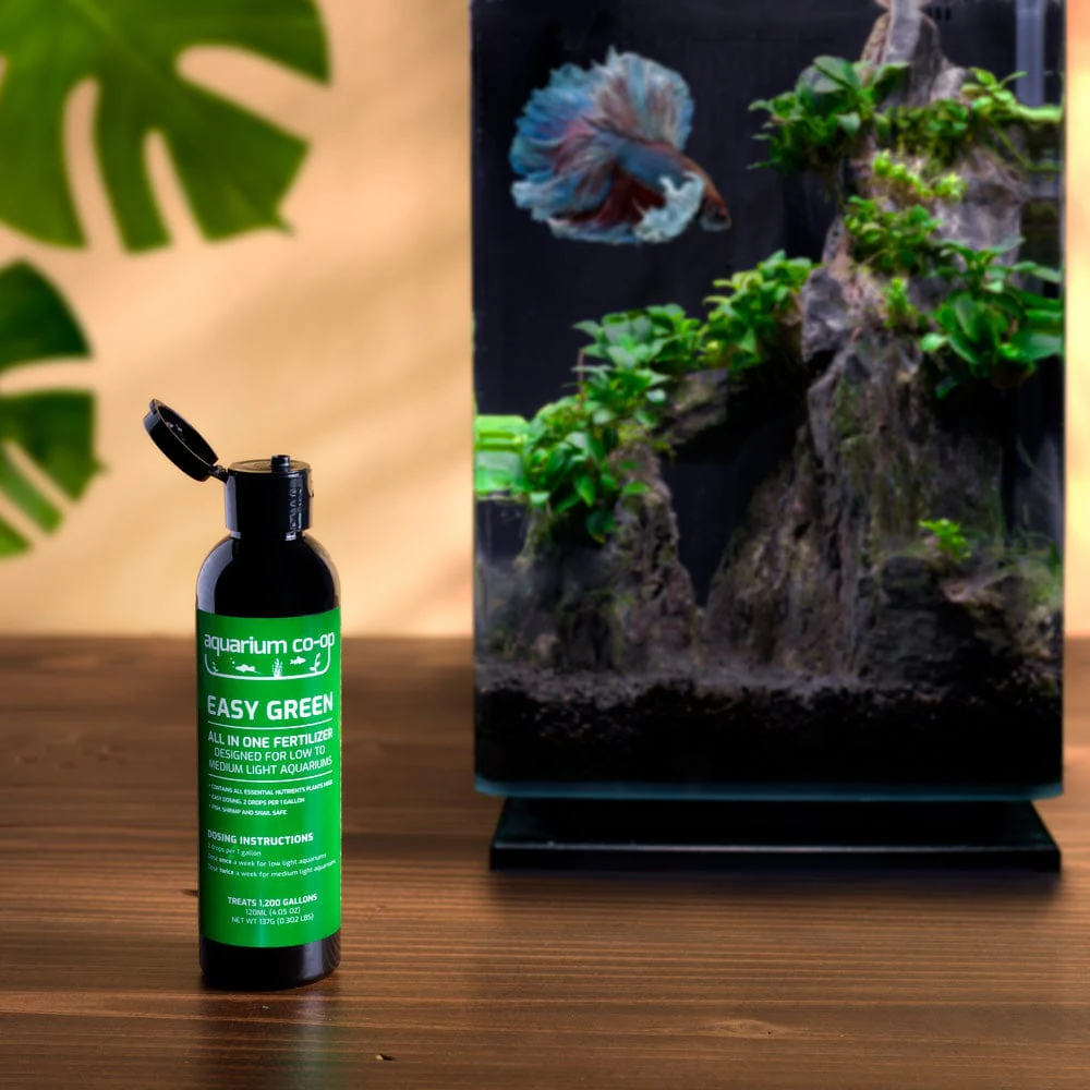 Easy Green All-in-One Fertilizer - Image 5