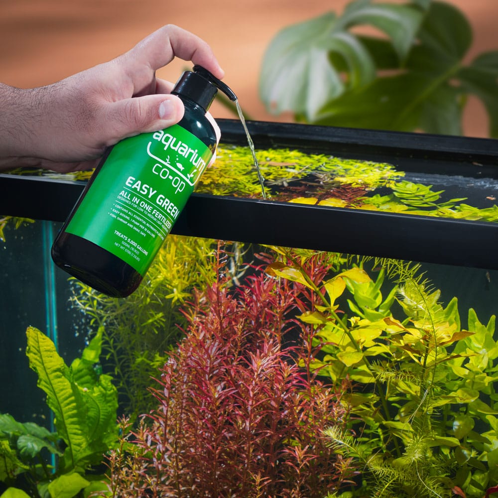 Easy Green/Easy Iron/Easy Potassium 500ml Pump Top - Image 3
