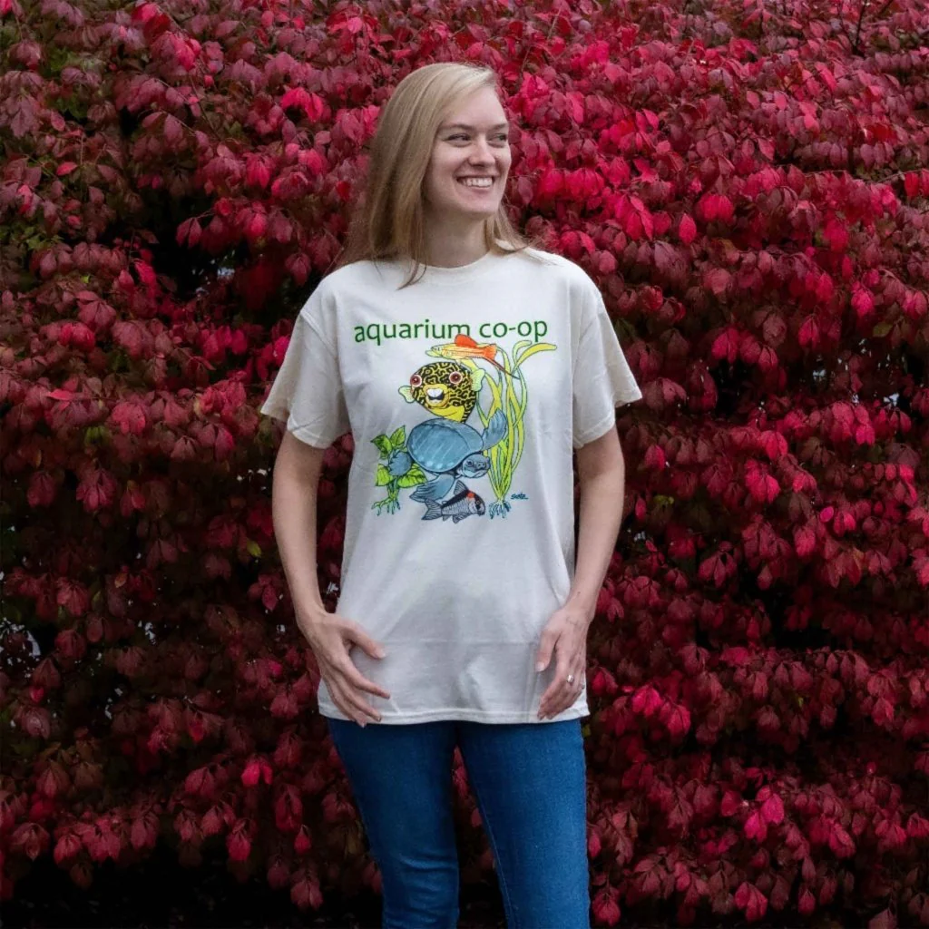 Elmer and Friends T-Shirt - Image 2