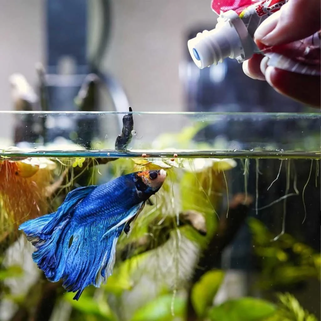 Hikari Betta Bio Gold Pellet - Image 2