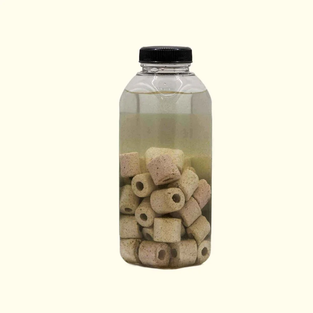 Live Aquarium Bacteria Starter Culture - Image 5