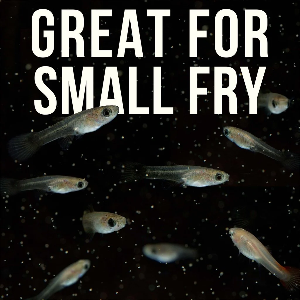 Magic Small Fish Feed - Image 7