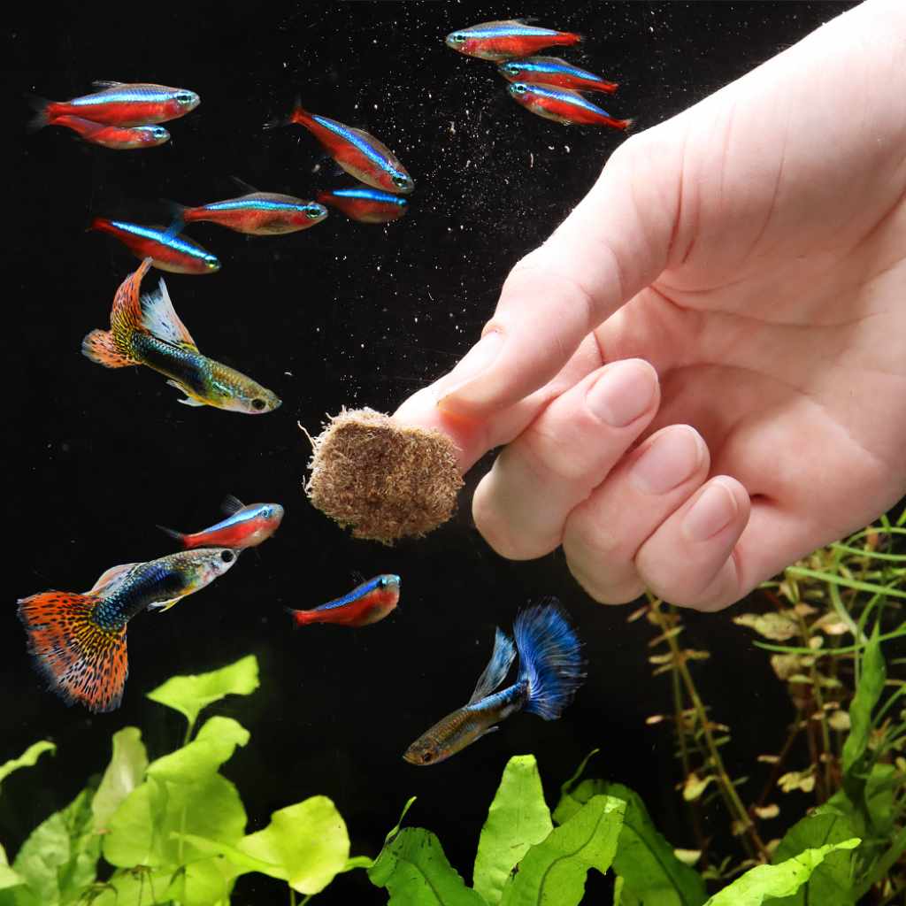Aquarium Co-Op Freeze Dried Tubifex Worms - Image 5