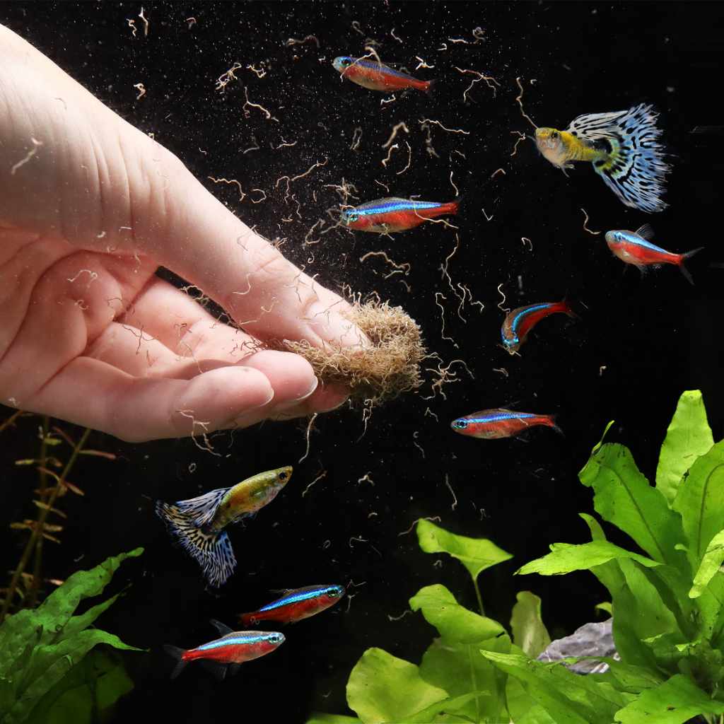 Aquarium Co-Op Freeze Dried Tubifex Worms - Image 6