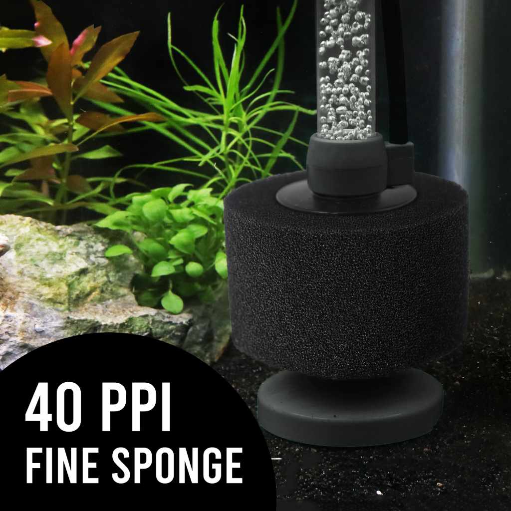 Scratch and Dent Black Easy Flow Sponge Filter (fine) - Image 3