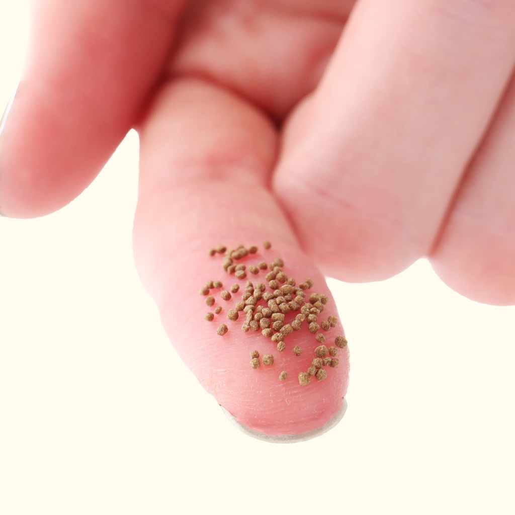 Easy Community Floating Pellets - Image 3