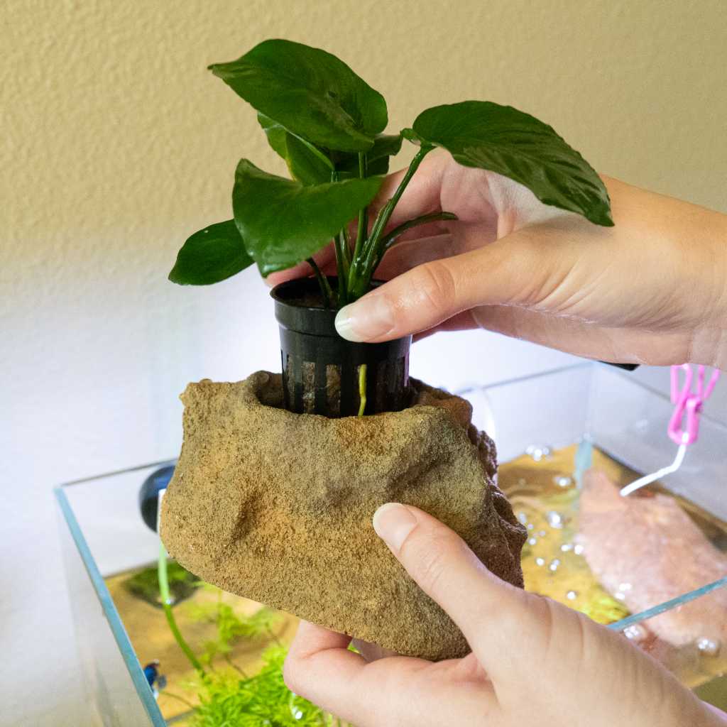 Scratch and Dent Easy Planter - Image 2