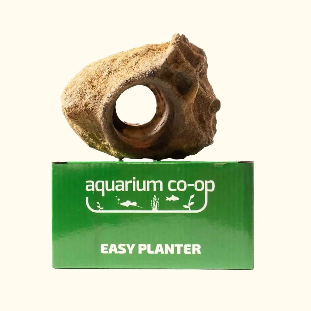 Scratch and Dent Easy Planter - Image 5