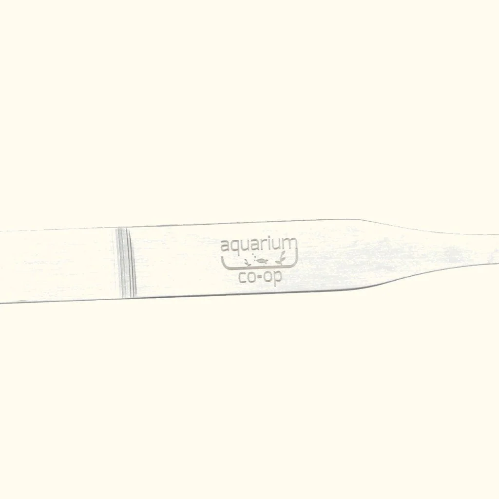 Planting Tweezers - Image 4