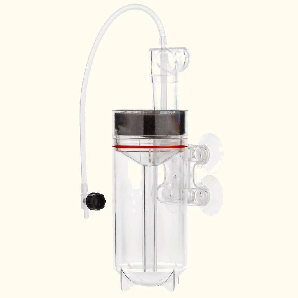 Ziss Egg Tumbler - Image 4
