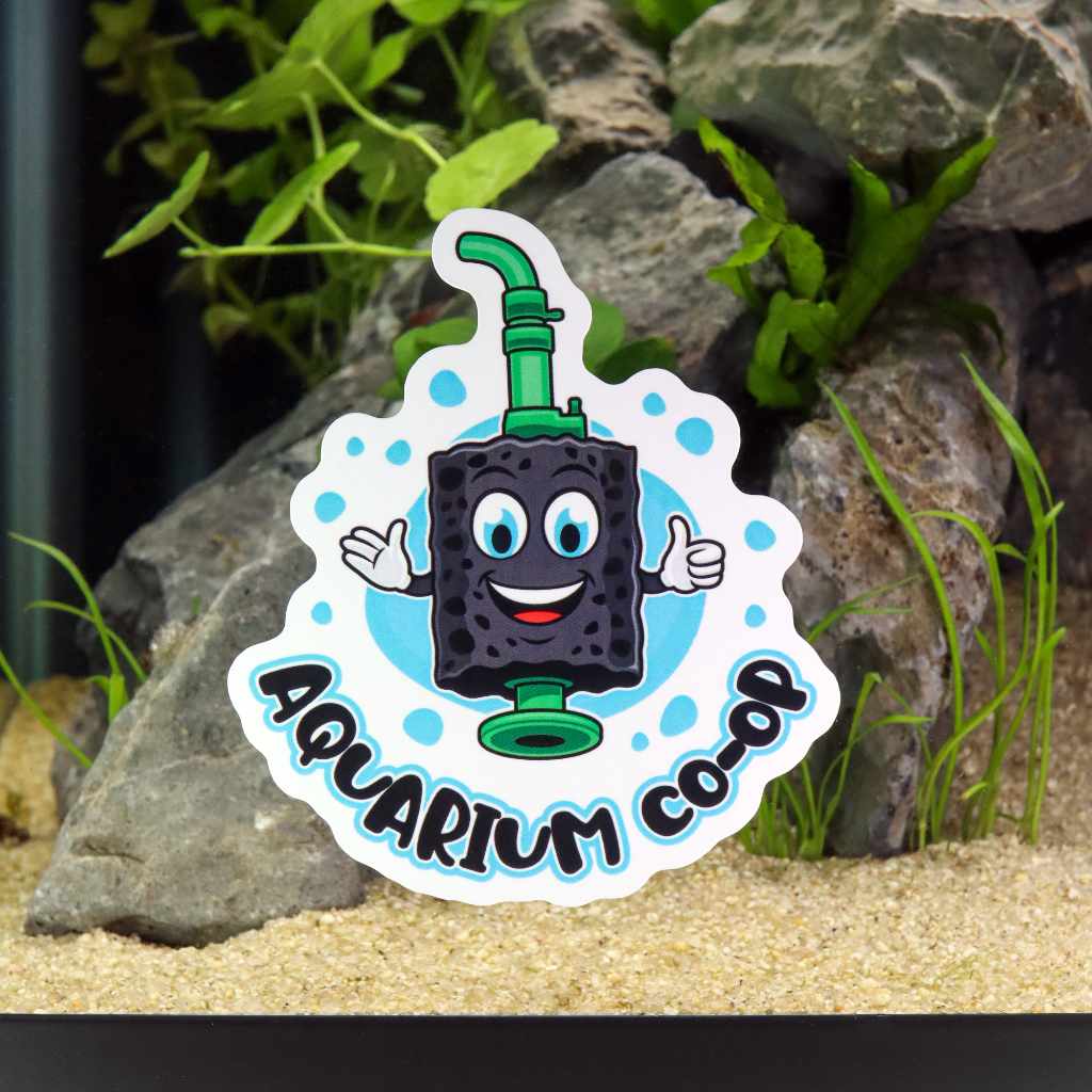 Sponge Filter "Nermy" Decal Sticker - Image 2
