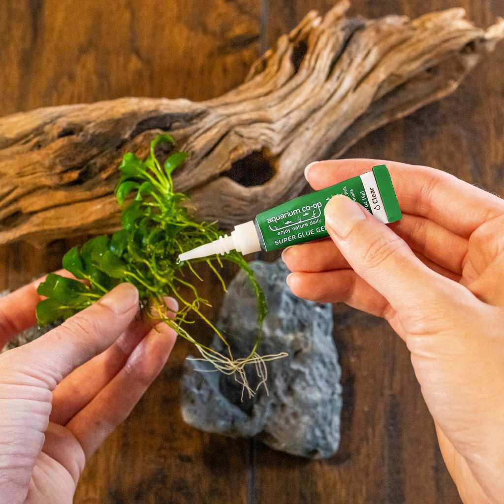 Aquarium Safe Super Glue Gel - Image 2