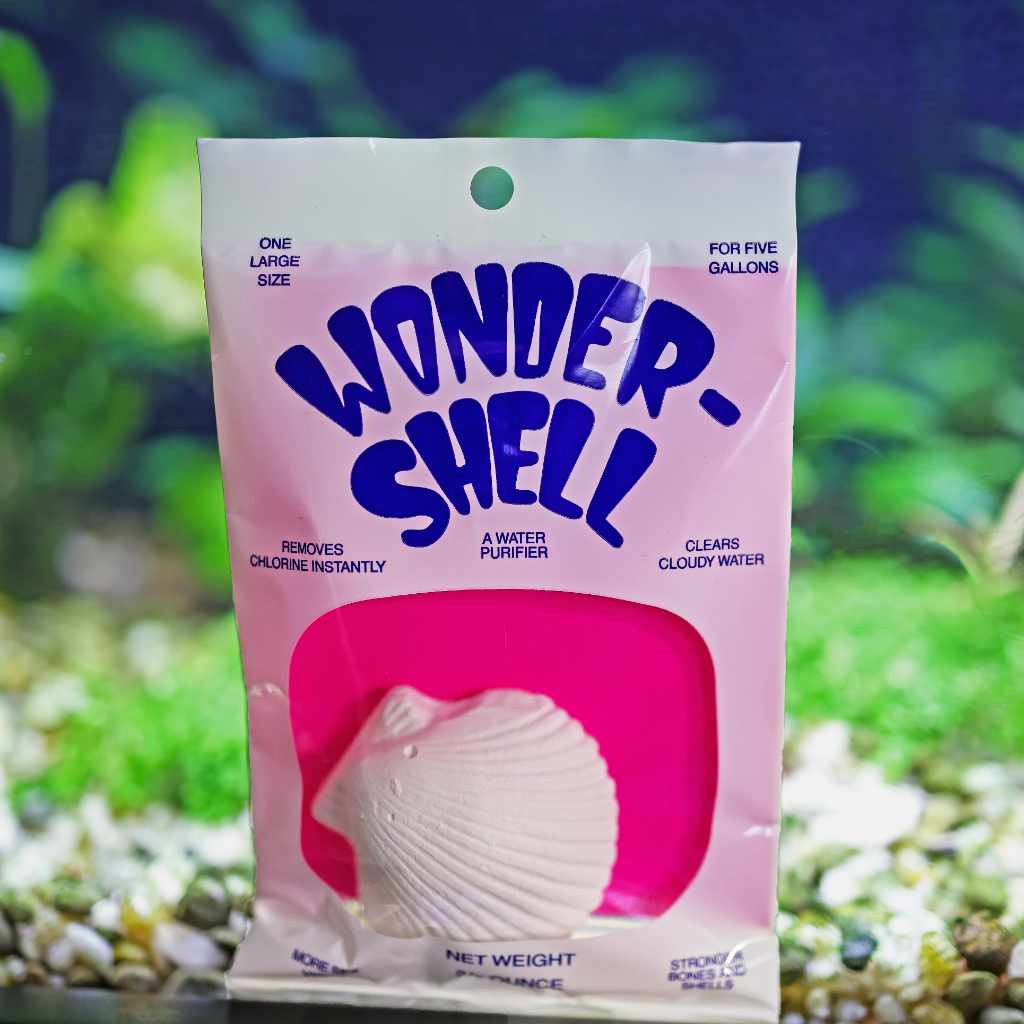 Wonder Shell - Image 3