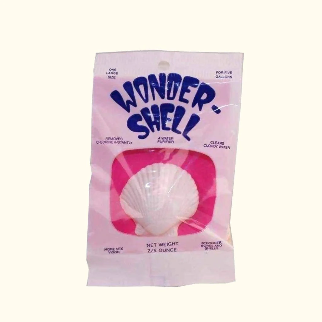 Wonder Shell - Image 6