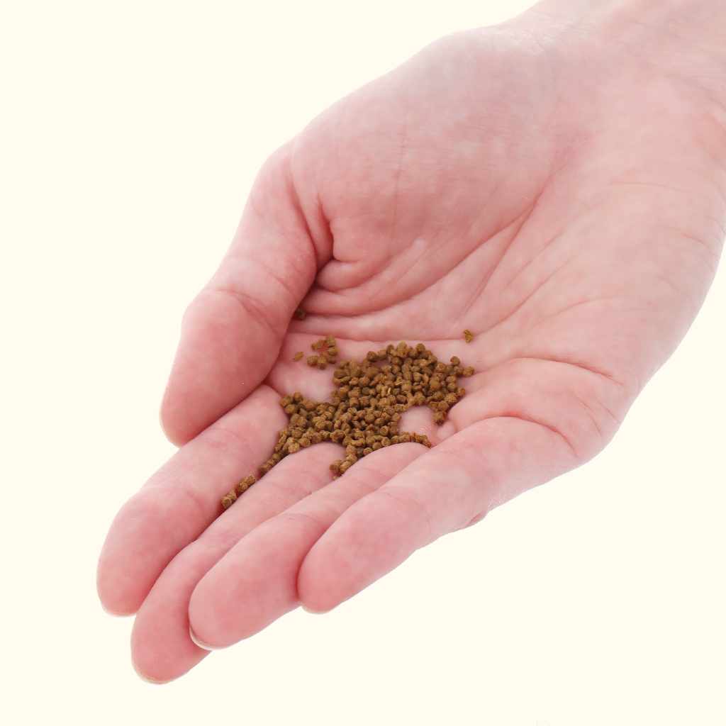 Xtreme NICE 1.5mm Semi-Floating Pellets - Image 3