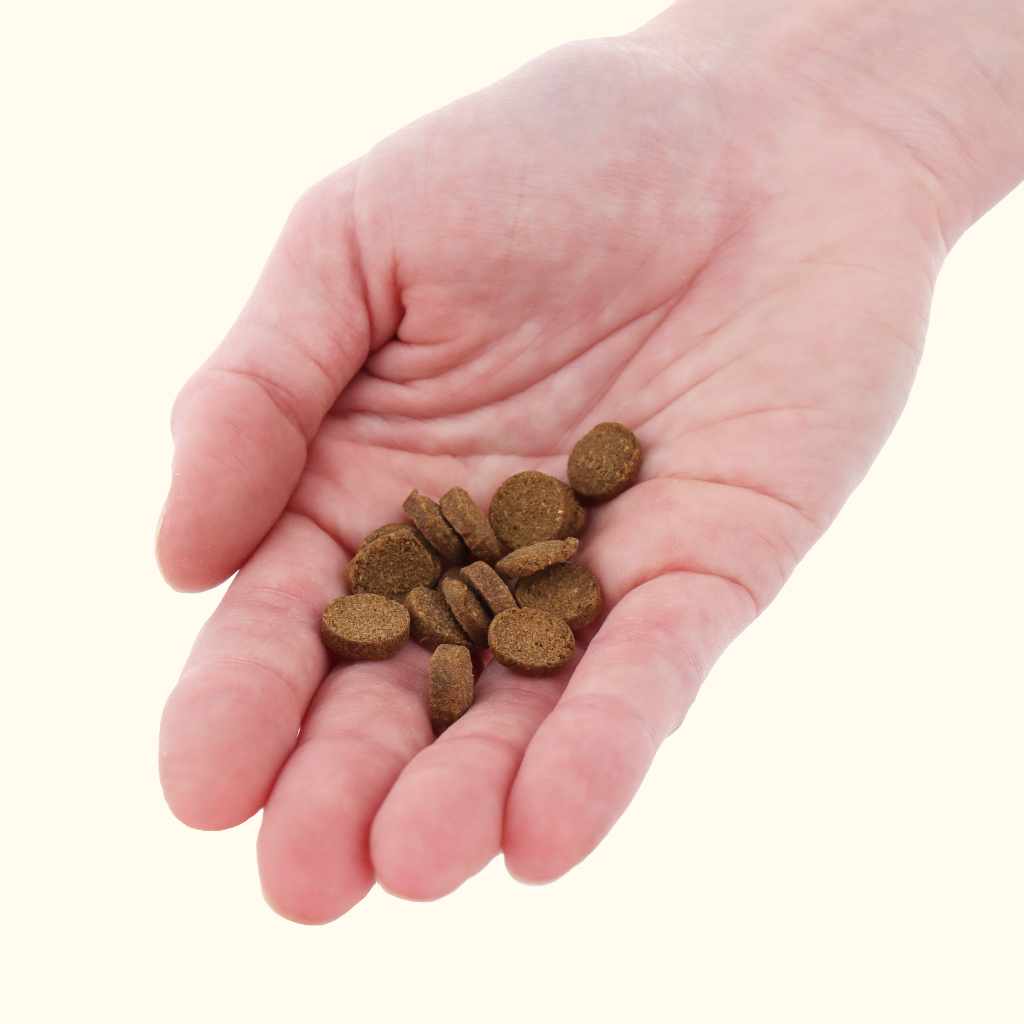 Xtreme Bottom Wafers - Image 3