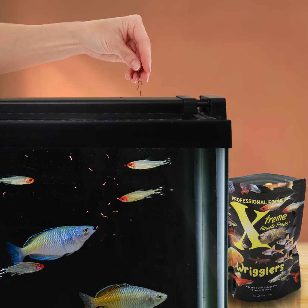 Xtreme Wrigglers - Image 2